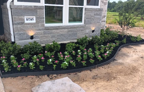 Curved front landscape bed with black mulch, blooming vinca, shrubs, and a young tree below windows.
