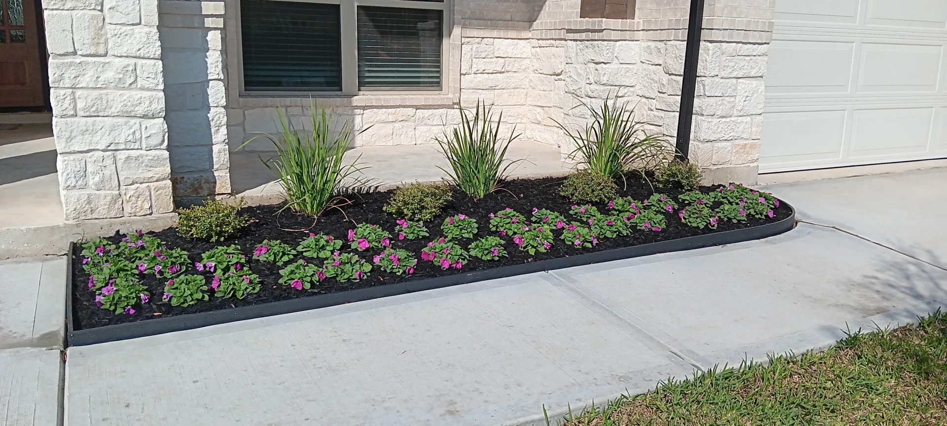 Straight foundation bed bordered by black edging with grasses, low shrubs, and pink flowering plants.